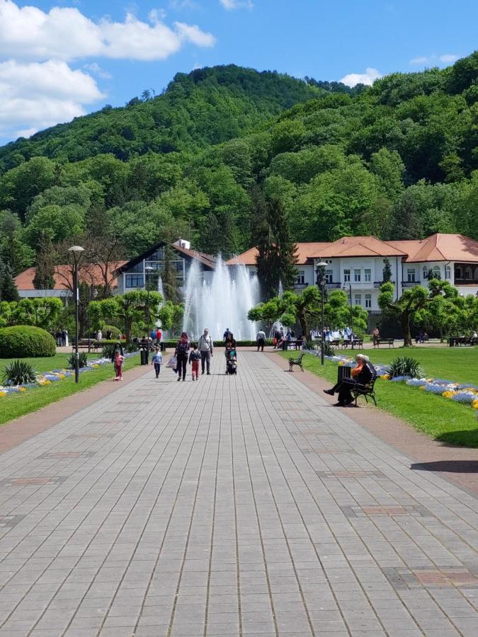 Hotel Aleks Sobe Banja Koviljača Zewnętrze zdjęcie
