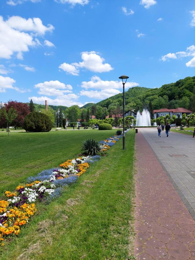 Hotel Aleks Sobe Banja Koviljača Zewnętrze zdjęcie