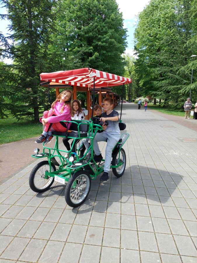 Hotel Aleks Sobe Banja Koviljača Zewnętrze zdjęcie